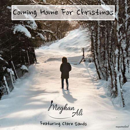 Coming Home for Christmas cover