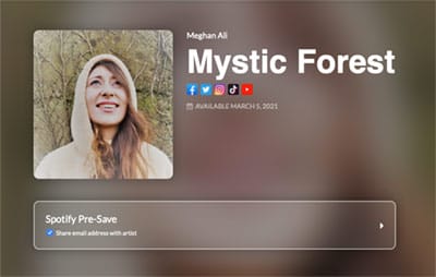 pre-save Mystic Forest on Spotify